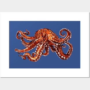 Giant Pacific Octopus Color Ink Drawing Posters and Art